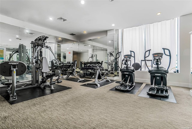 exercise room featuring carpet flooring