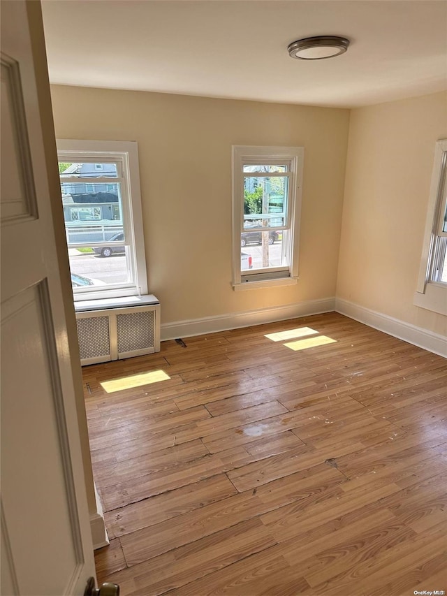 spare room featuring radiator, light hardwood / wood-style floors, and plenty of natural light