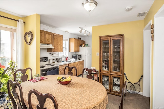 carpeted dining space featuring rail lighting