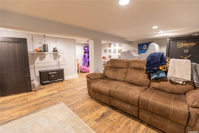 living room featuring light hardwood / wood-style flooring