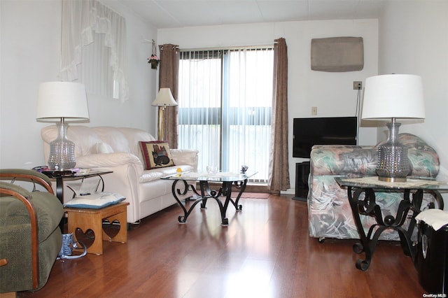 living area with dark hardwood / wood-style flooring