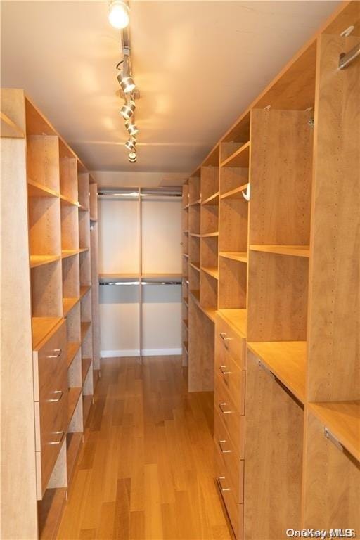 walk in closet with light hardwood / wood-style floors