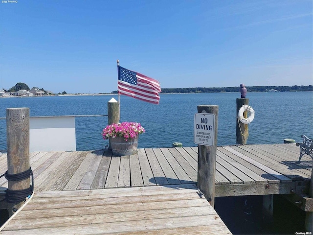 dock area with a water view