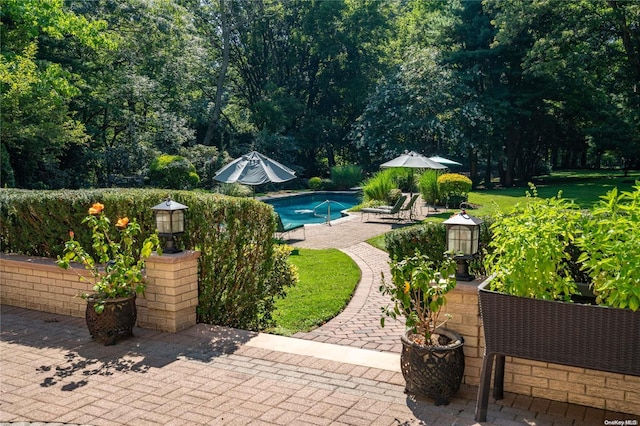 view of pool with a patio area