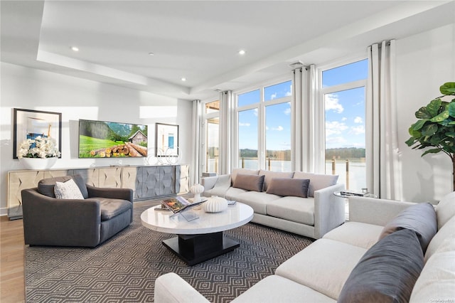 living room with a tray ceiling and hardwood / wood-style floors