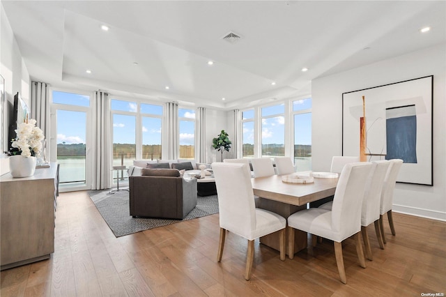 dining room featuring a water view, a healthy amount of sunlight, a tray ceiling, and light wood-type flooring