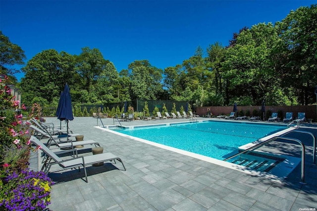 view of swimming pool featuring a patio