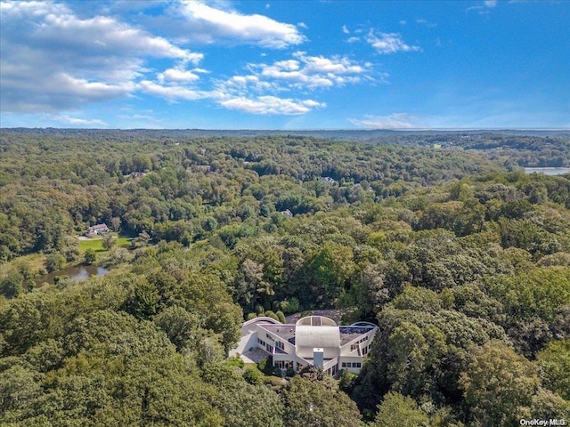 drone / aerial view