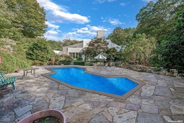 view of swimming pool with a patio