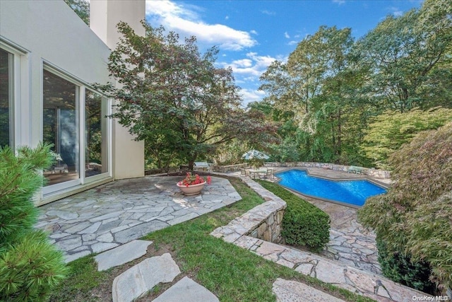 view of pool with a patio area