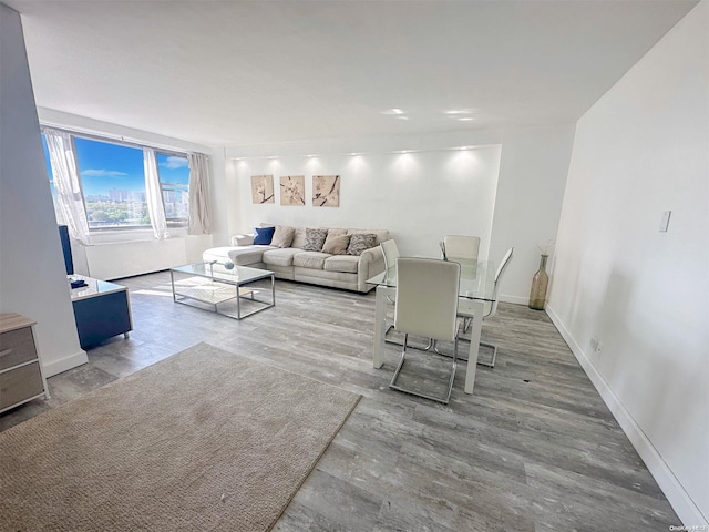 living room with hardwood / wood-style floors