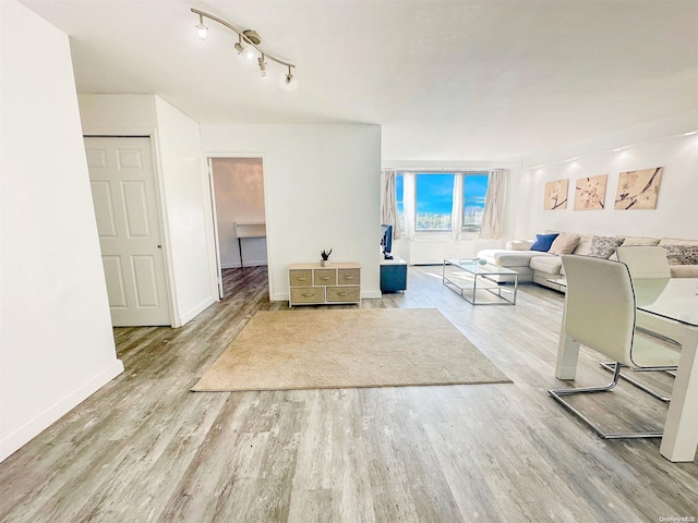 living room featuring light hardwood / wood-style floors