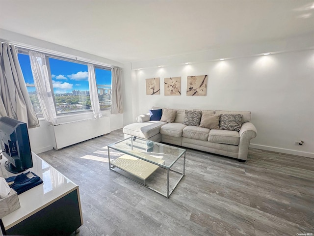 living room featuring wood-type flooring