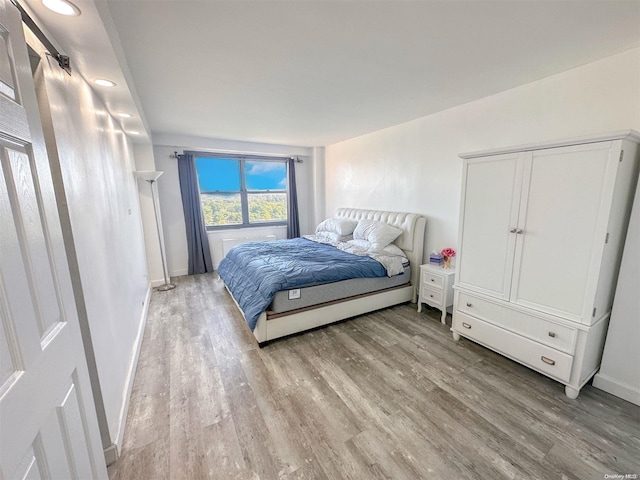 bedroom featuring light hardwood / wood-style flooring