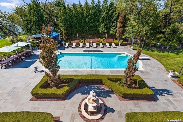 view of pool with a patio