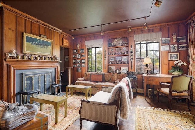 living room featuring hardwood / wood-style floors, a healthy amount of sunlight, and wood walls