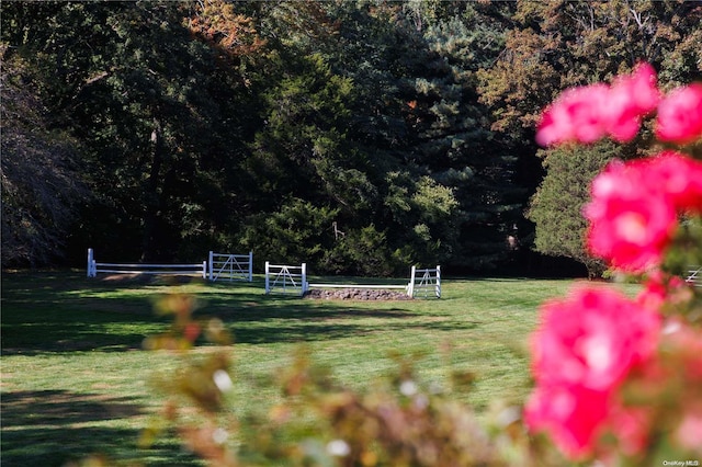 view of property's community featuring a lawn