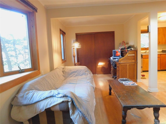 living room with light hardwood / wood-style flooring, a healthy amount of sunlight, and sink