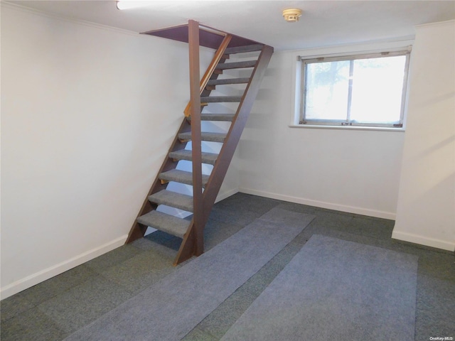 basement featuring dark carpet and ornamental molding