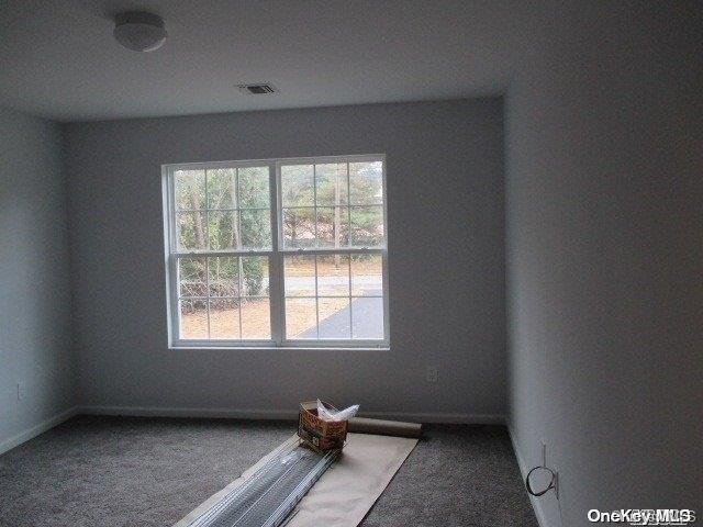 spare room with carpet floors