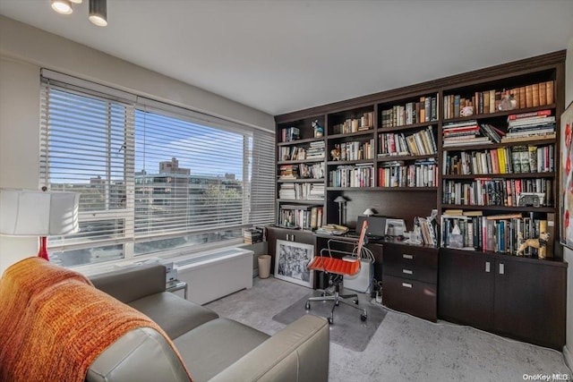 view of carpeted home office