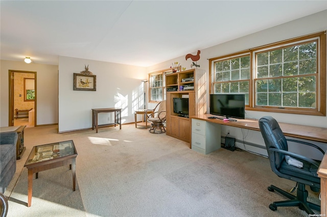 carpeted home office featuring a wealth of natural light