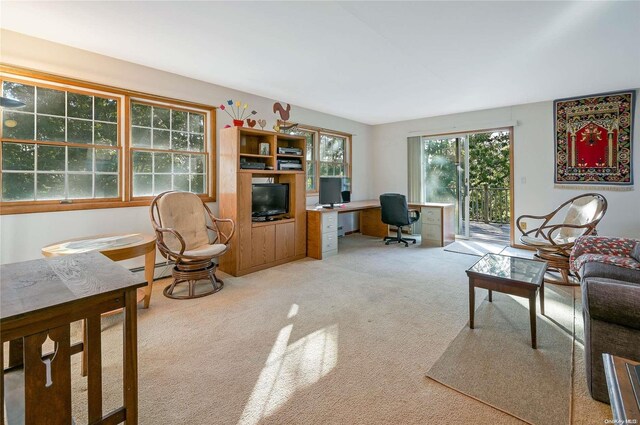 4 Trail Ct, Water Mill, NY 11976 - photo 23