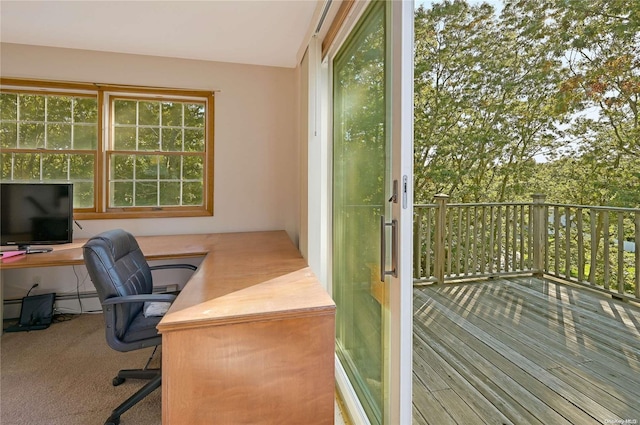 4 Trail Ct, Water Mill, NY 11976 - photo 26