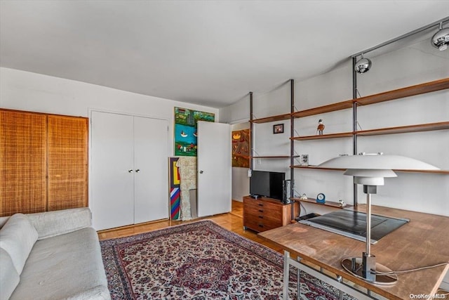 living room featuring light wood-type flooring