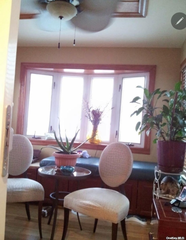 dining space with hardwood / wood-style flooring, ceiling fan, and a wealth of natural light