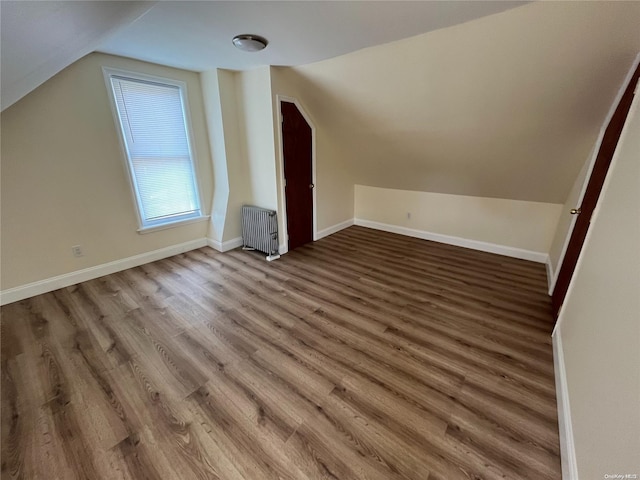 additional living space featuring radiator, hardwood / wood-style floors, and lofted ceiling