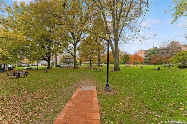 view of home's community featuring a yard