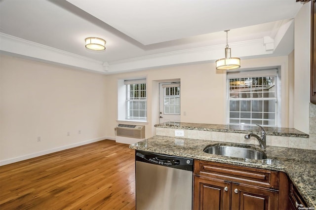 kitchen featuring stainless steel dishwasher, light wood-type flooring, a wealth of natural light, and a tray ceiling