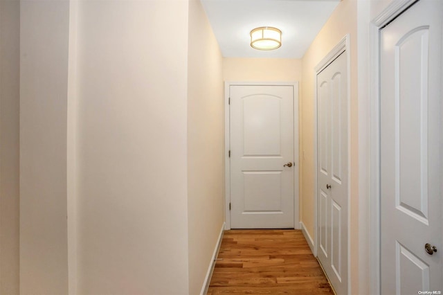 hall featuring light hardwood / wood-style floors