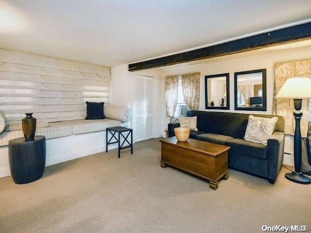 143 Piping Rock Rd, Locust Valley, NY 11560 - carpeted living area featuring cooling unit