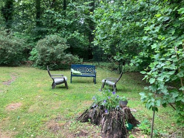 143 Piping Rock Rd, Locust Valley, NY 11560 - view of grassy yard