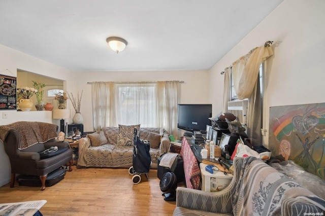 living room featuring light hardwood / wood-style flooring