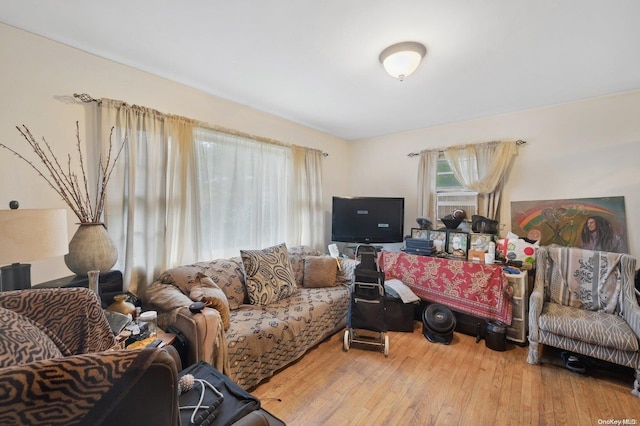 living room featuring hardwood / wood-style flooring