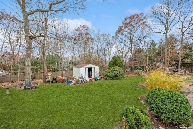 view of yard featuring a storage unit