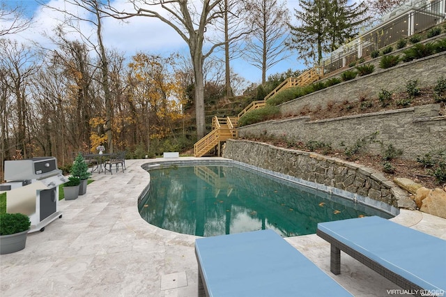 view of pool with a patio and grilling area