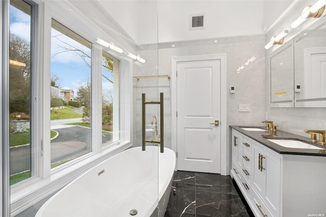 bathroom with a bath, vanity, and a wealth of natural light