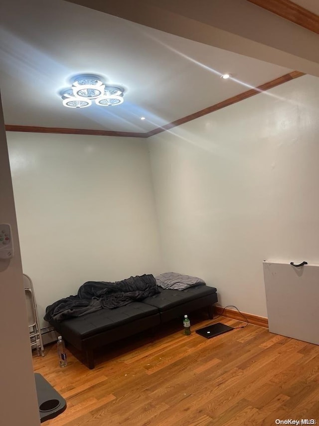 bedroom featuring light hardwood / wood-style floors and ornamental molding