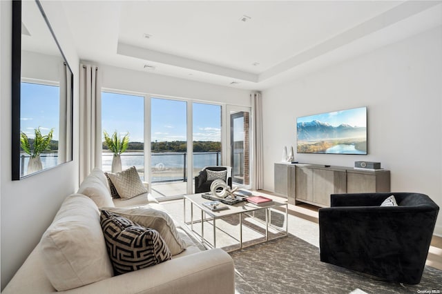 living room featuring a raised ceiling