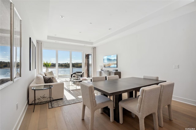 dining space with a tray ceiling and light hardwood / wood-style floors