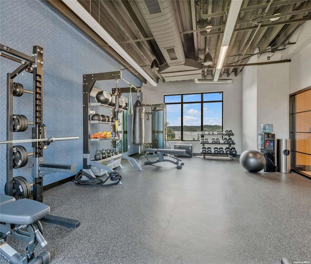 exercise room featuring a high ceiling