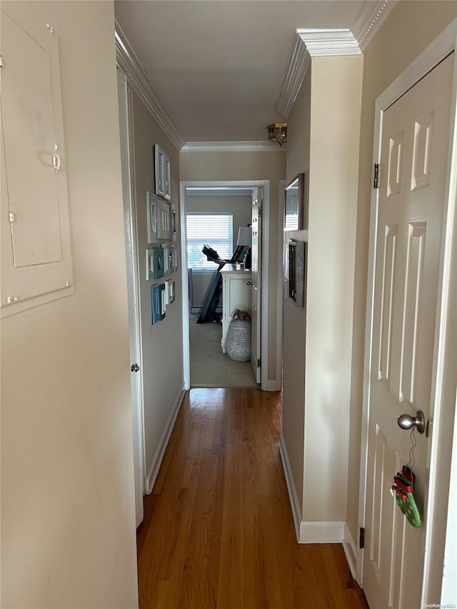 corridor featuring hardwood / wood-style floors, electric panel, and crown molding