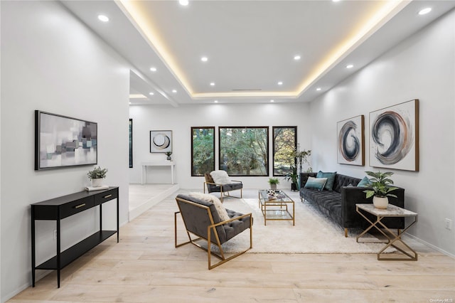 living room with a raised ceiling and light hardwood / wood-style flooring