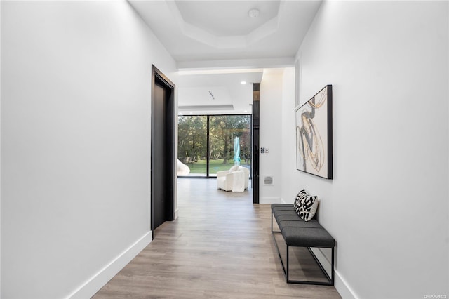 corridor with light hardwood / wood-style floors and a tray ceiling