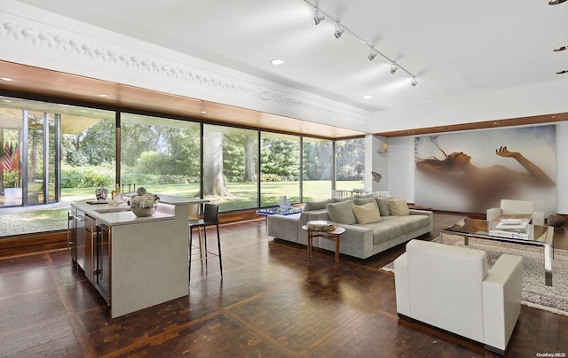 living room featuring dark hardwood / wood-style flooring, sink, and track lighting