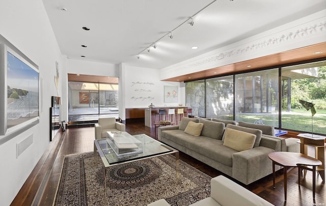 living room featuring track lighting and dark wood-type flooring